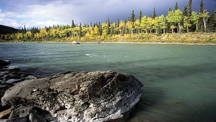The Best Of Alaska